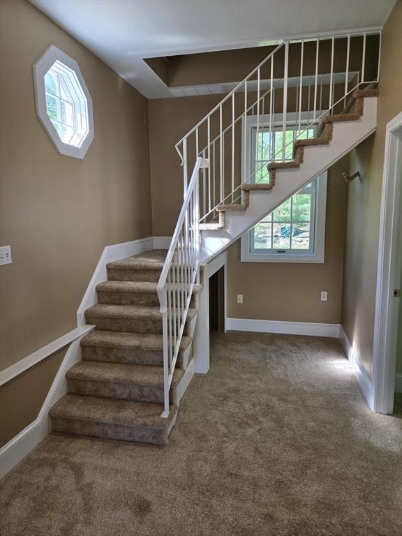 staircase featuring baseboards, carpet, and a wealth of natural light