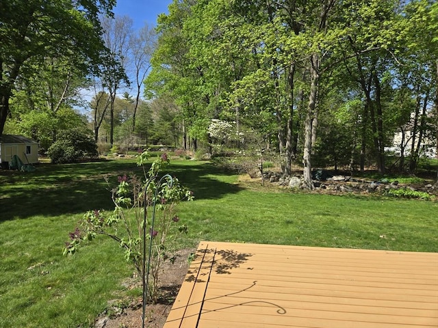 view of yard with a wooden deck