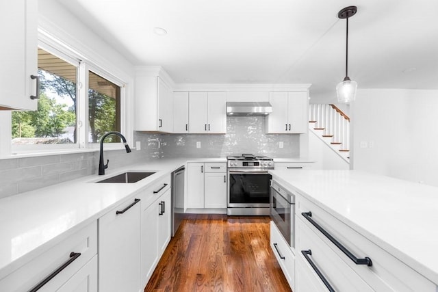 kitchen featuring tasteful backsplash, a sink, ventilation hood, appliances with stainless steel finishes, and dark wood-style floors