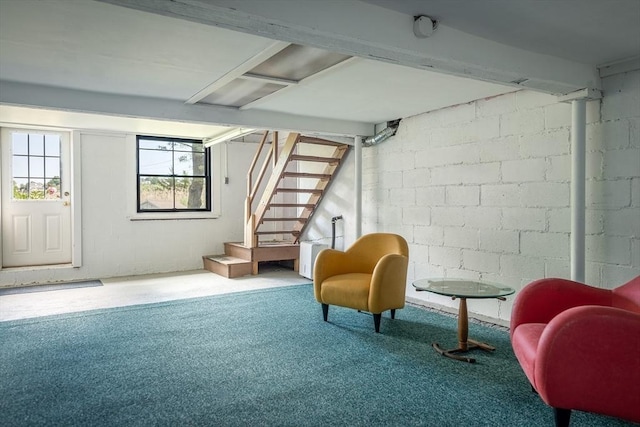 basement featuring carpet flooring