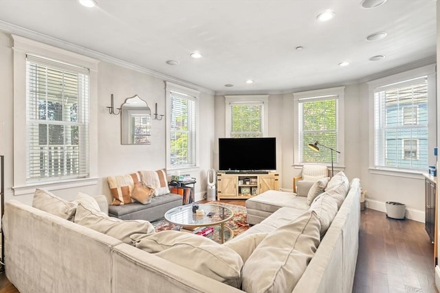 23 Dix St Unit 1, Boston, MA 02122 - living area with ornamental molding, baseboards, dark wood-type flooring, and recessed lighting
