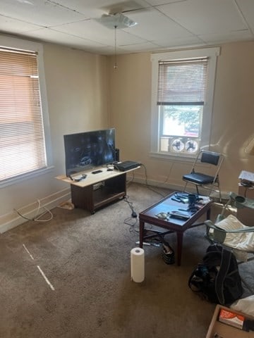 living room with a drop ceiling and carpet flooring