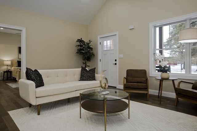 living room featuring high vaulted ceiling and hardwood / wood-style floors