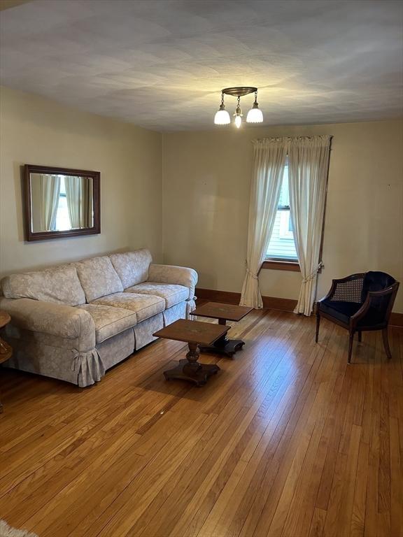 living room with wood-type flooring