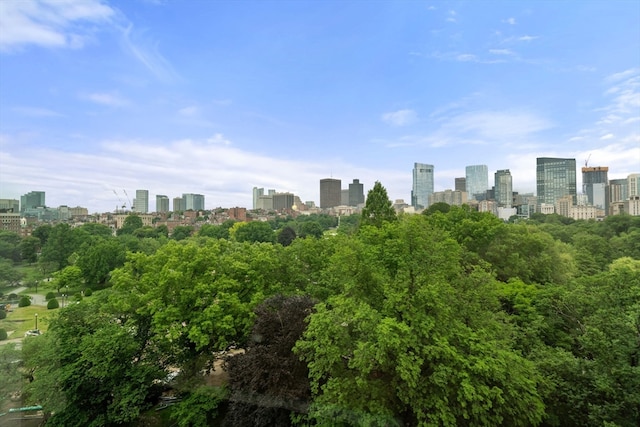 view of property's view of city