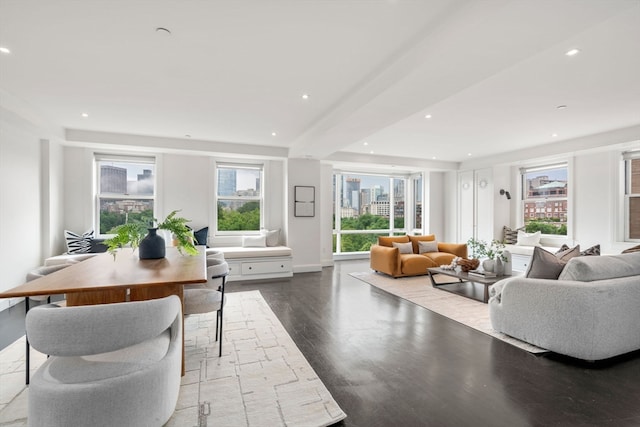 living room featuring a wealth of natural light and wood-type flooring