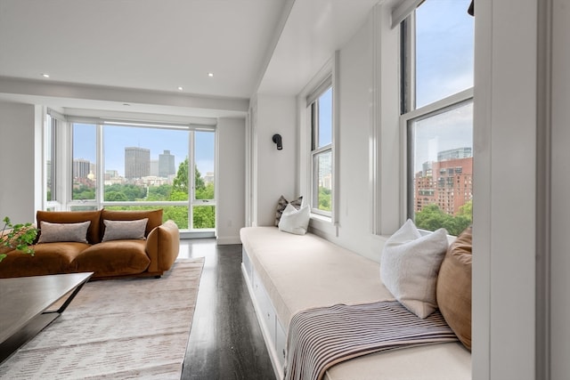 bedroom featuring multiple windows and dark wood-type flooring