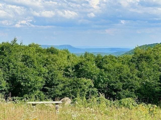 property view of mountains with a wooded view