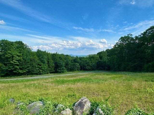 view of landscape featuring a wooded view