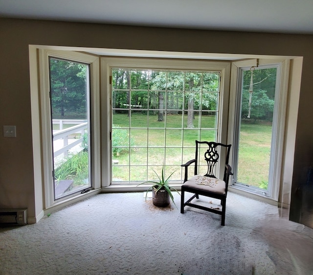 interior space featuring a wealth of natural light and carpet flooring