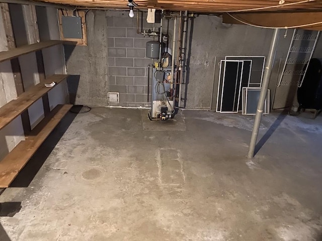 basement featuring electric panel