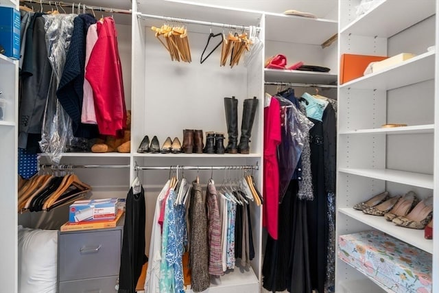 view of spacious closet