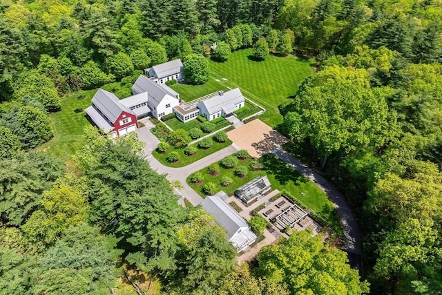 drone / aerial view of a forest