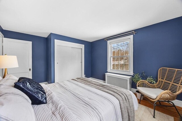 bedroom featuring wood-type flooring and a closet
