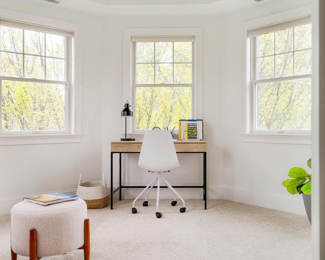 office featuring carpet floors and healthy amount of natural light