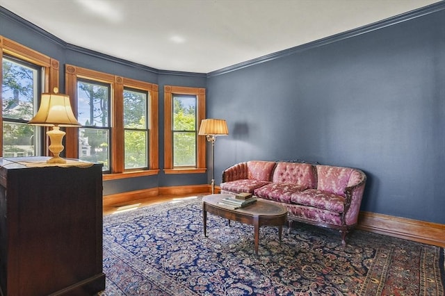 47 Stetson, Haverhill, MA 01835 - living area with baseboards, wood finished floors, and ornamental molding