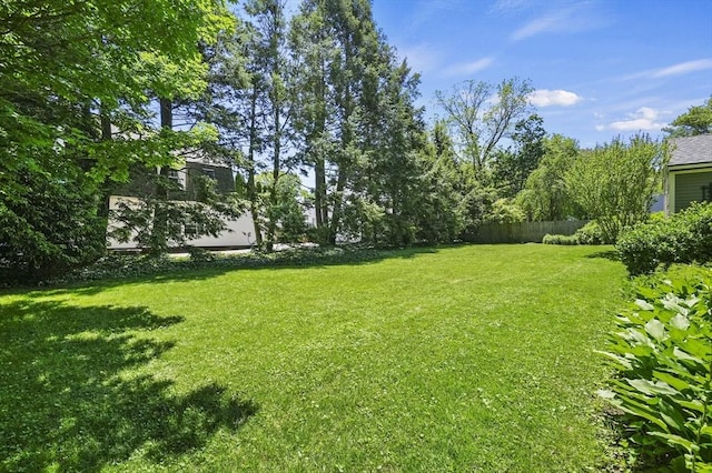 47 Stetson, Haverhill, MA 01835 - view of yard