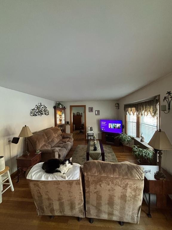 living area featuring wood finished floors