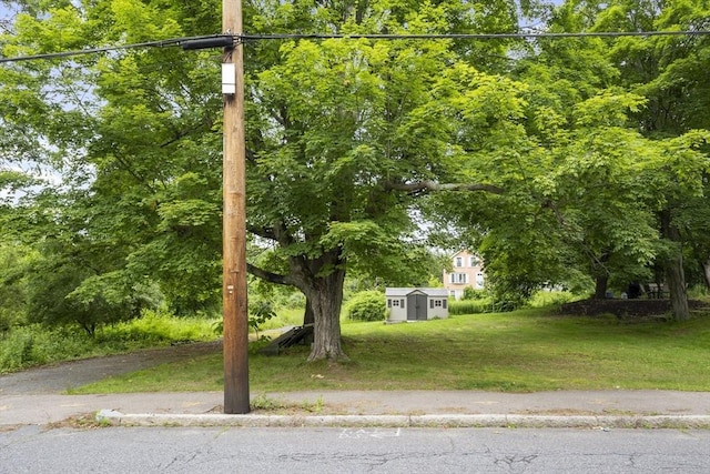 35-R Whiting St, North Attleboro, MA 02760 - view of green lawn with a storage shed