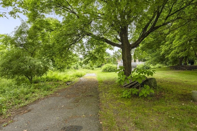 35-R Whiting St, North Attleboro, MA 02760 - view of community featuring driveway and a yard