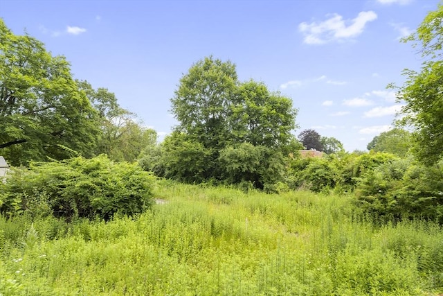 35-R Whiting St, North Attleboro, MA 02760 - view of nature