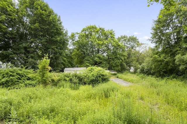35-R Whiting St, North Attleboro, MA 02760 - view of undeveloped land