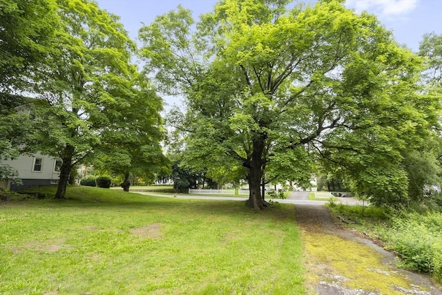 35-R Whiting St, North Attleboro, MA 02760 - view of grassy yard