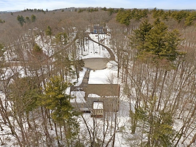 bird's eye view with a forest view