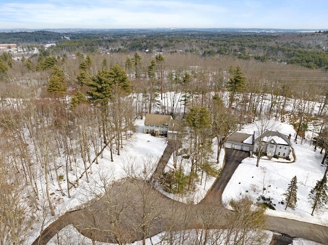 view of snowy aerial view