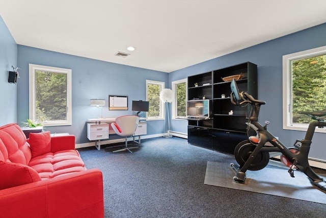 28 Elm St, Berkley, MA 02779 - workout room with baseboard heating and carpet