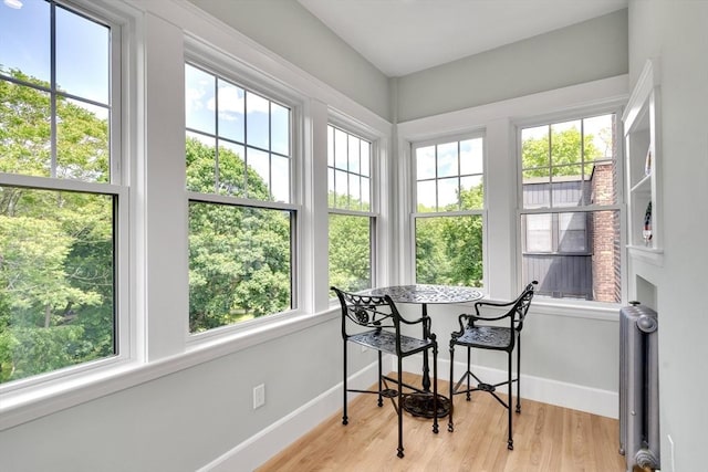 137 Freeman St Unit 3A, Brookline, MA 02446 - sunroom / solarium featuring healthy amount of natural light