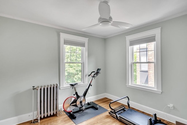 137 Freeman St Unit 3A, Brookline, MA 02446 - exercise room featuring radiator, wood finished floors, baseboards, crown molding, and a ceiling fan