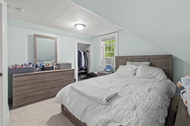 25 Bayley Ter, Weymouth, MA 02190 - carpeted bedroom featuring a closet and a spacious closet