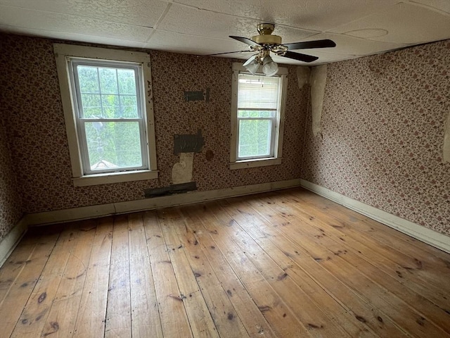 7 Little River St, Haverhill, MA 01832 - unfurnished room featuring wallpapered walls, baseboards, light wood-style floors, and plenty of natural light