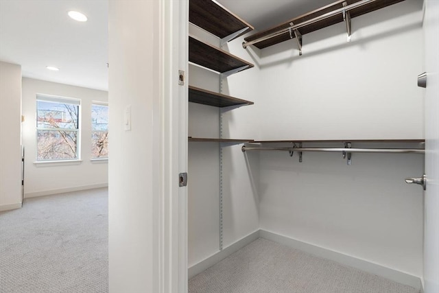 spacious closet with light colored carpet