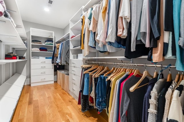 2 Rockwood Ter Unit 2, Newton, MA 02466 - spacious closet with light wood-style floors