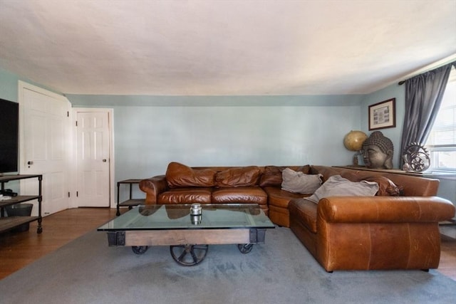 living room with dark wood-type flooring