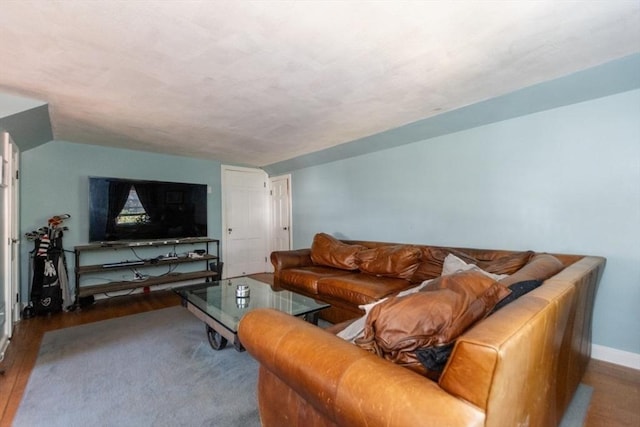 living room with wood-type flooring