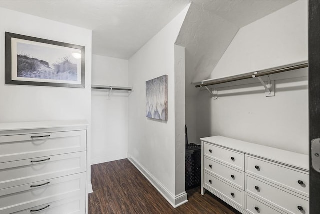 walk in closet with dark wood finished floors