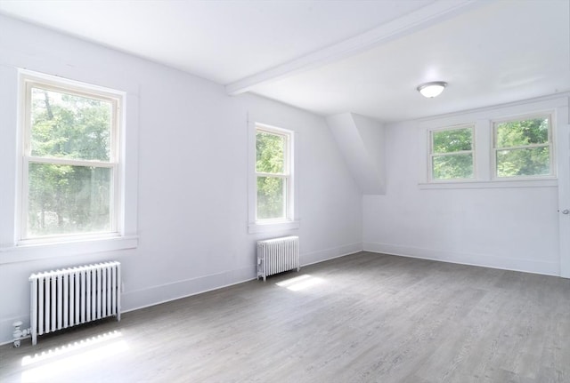 1194 Thorndike St, Palmer, MA 01069 - spare room with radiator heating unit and wood finished floors