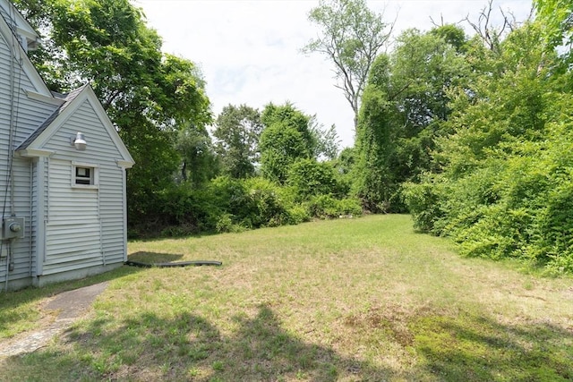 1194 Thorndike St, Palmer, MA 01069 - view of grassy yard