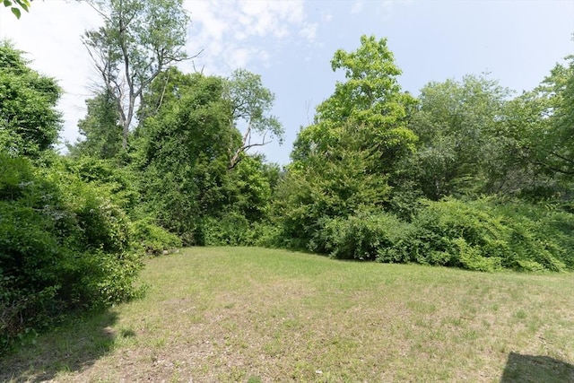 1194 Thorndike St, Palmer, MA 01069 - view of green lawn
