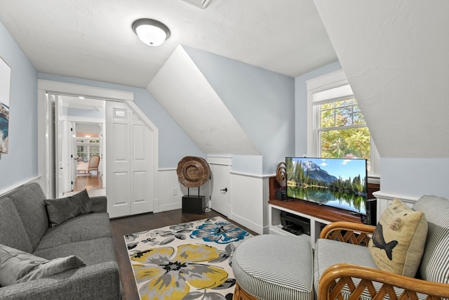 living room featuring dark wood-type flooring and vaulted ceiling