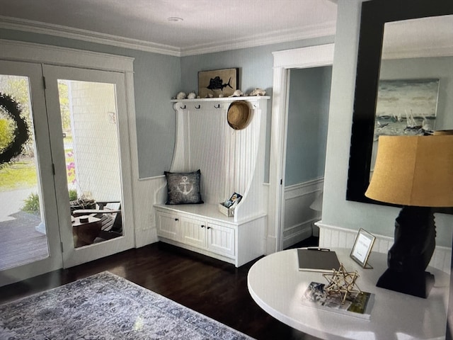 mudroom featuring crown molding and dark hardwood / wood-style flooring