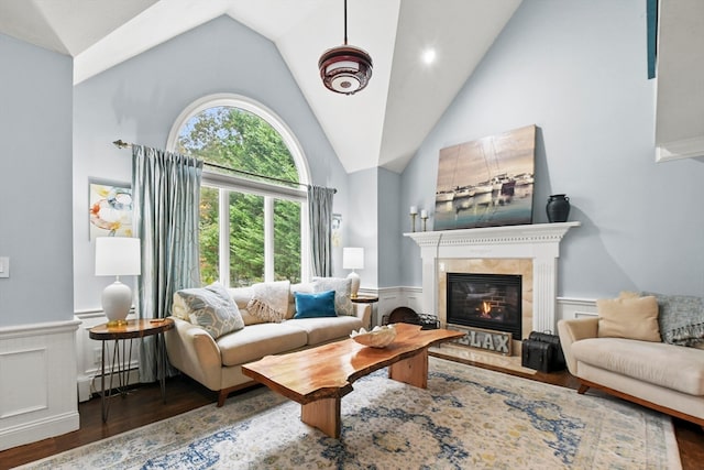 living room featuring high vaulted ceiling and dark hardwood / wood-style floors