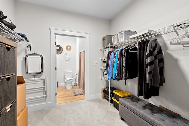 57 Long Point Rd Unit 110, Lakeville, MA 02347 - walk in closet with carpet flooring