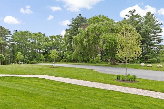 57 Long Point Rd Unit 110, Lakeville, MA 02347 - view of property's community featuring a yard and view of wooded area