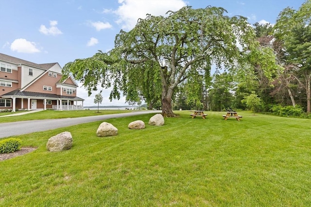 57 Long Point Rd Unit 110, Lakeville, MA 02347 - surrounding community with a yard