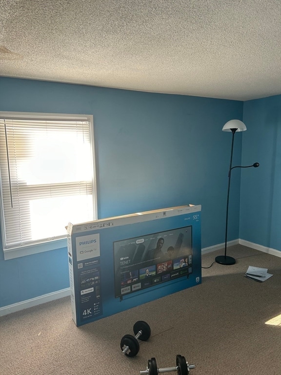 details featuring carpet and a textured ceiling