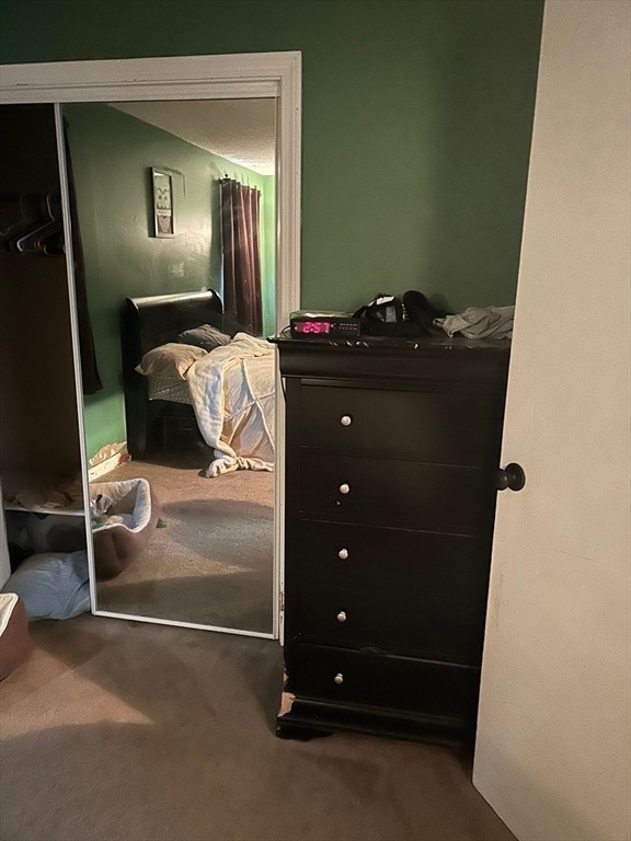 bedroom featuring a closet and carpet floors